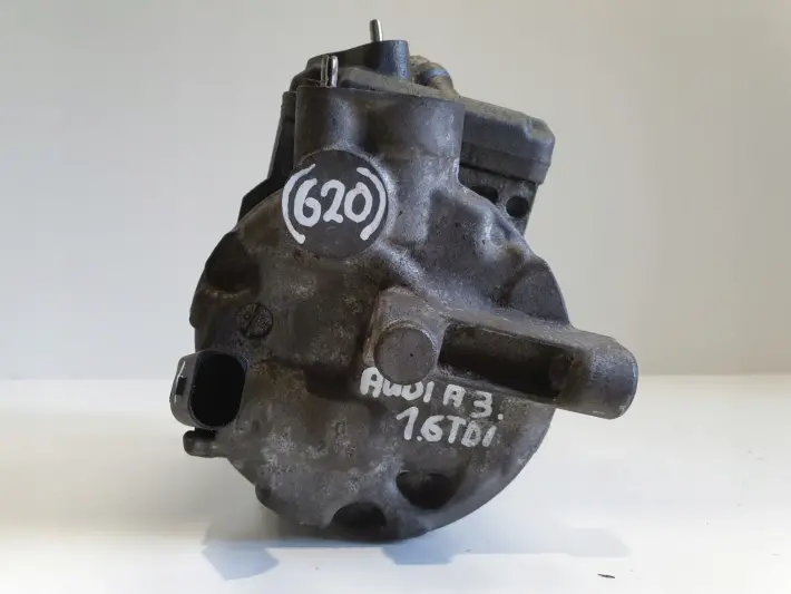 Audi A3 II 8P 1.6 TDI SPRĘŻARKA KLIMATYZACJI pompa 5N0820803F