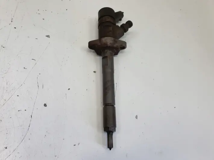 Ford Focus MK2 II 1.6 TDCI WTRYSKIWACZ wtrysk 0445110239