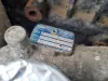 SILNIK KOMPLET VW Polo IV 1.9 TDI 101KM 01-09r ATD