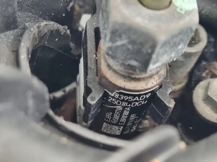 SILNIK KOMPLET Citroen C3 1.4 HDI 90KM 02-09r DELPHI serwisowany 138tyś 8HY