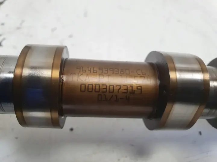 Citroen C4 1.4 16V WAŁEK ROZRZĄDU ssący KOŁO FAZ 9646939380