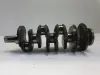 Renault Trafic II 2.0 DCI WAŁ KORBOWY 8200385152