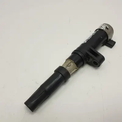 Renault Scenic II 1.4 16V CEWKA ZAPŁONOWA