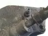 Volvo V40 II PRZEDNI ZACISK HAMULCOWY lewy przód KIEROWCY L.P 975