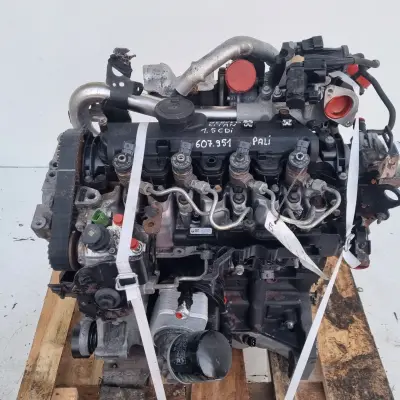 SILNIK Mercedes Citan 1.5 DCI 75KM ładnie pali K9K608 607951