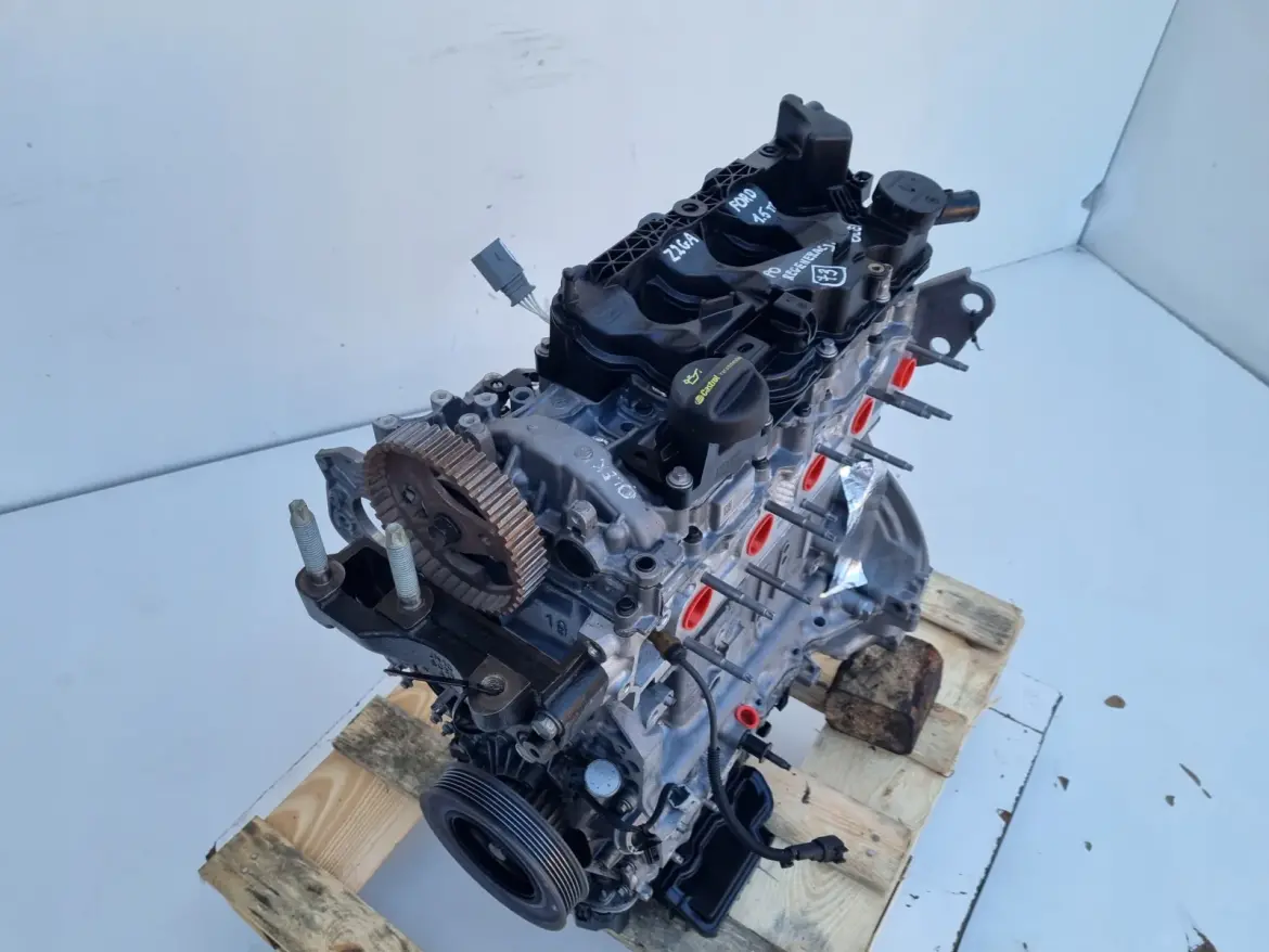 SILNIK PO REGENERACJI Ford Transit Connect II 1.5 TDCI 101KM ECOBLUE Z2GA