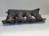 Audi A3 8L 1.8 T KOLEKTOR SSĄCY 06A133223CC