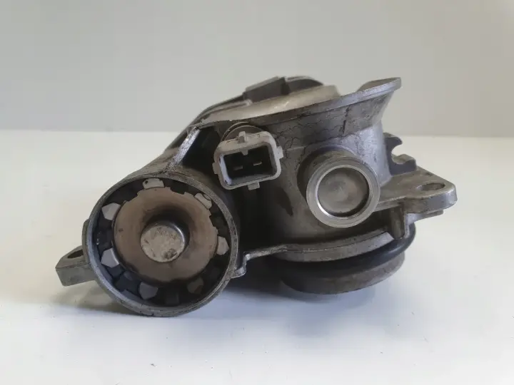 Renault Clio II 1.2 16V PRZEPUSTNICA H8200067219