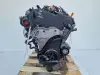 SILNIK KOMPLET VW Caddy III 1.6 TDI 75KM udokumentowane 233tyś CAY CAYE