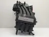 Audi A3 II 8P 1.6 8V KOLEKTOR SSĄCY 06A133203FA