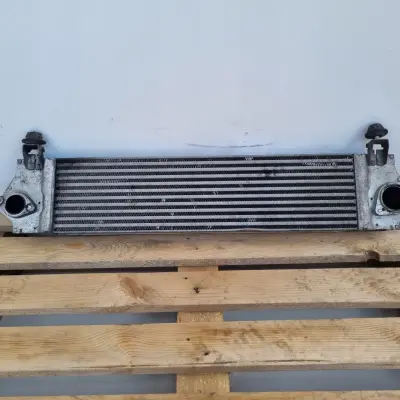 Nissan Qashqai IJ10 CHŁODNICA POWIETRZA Intercooler 14461-BB30A G3062007