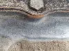 Opel Vectra C 1.6 1.8 16V SKRZYNIA BIEGÓW F17C374 manualna