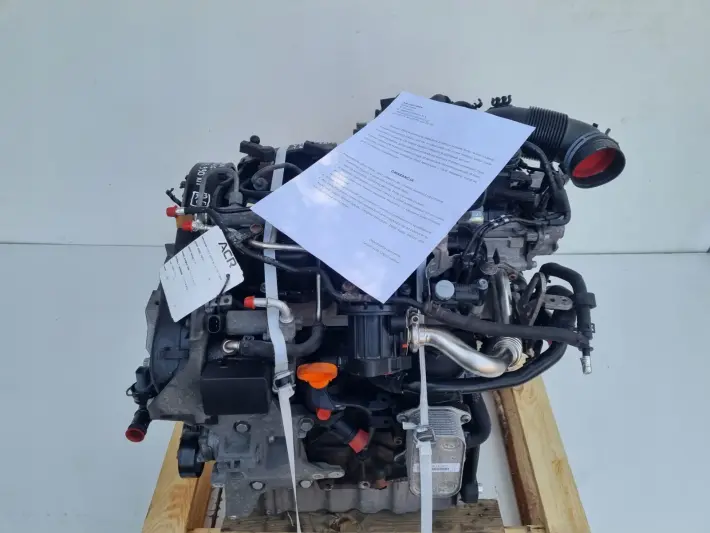 SILNIK KOMPLET VW Caddy III 1.6 TDI 75KM udokumentowane 233tyś CAY CAYE