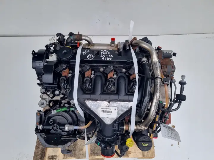 SILNIK KOMPLET Ford Kuga 2.0 TDCI 136KM 143tyś G6DG