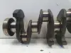 Renault Clio III 1.2 TCE 05-12r WAŁ KORBOWY TF8469