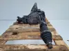Chevrolet Captiva 2.0 VCDI REDUKTOR SKRZYNI BIEGÓW 96625100
