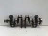 Renault Clio III 1.2 TCE 05-12r WAŁ KORBOWY TF8469