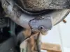 SILNIK KOMPLET VW New Beetle 1.8 T TURBO 150KM ładna kompresja AWU