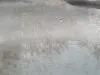 Peugeot 206 1.4 8V ROZRUSZNIK 0001112041