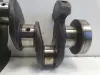 Renault Clio III 1.2 TCE 05-12r WAŁ KORBOWY TF8469
