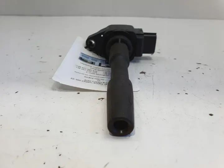Renault Clio IV 0.9 TCe CEWKA ZAPŁONOWA 224332428R