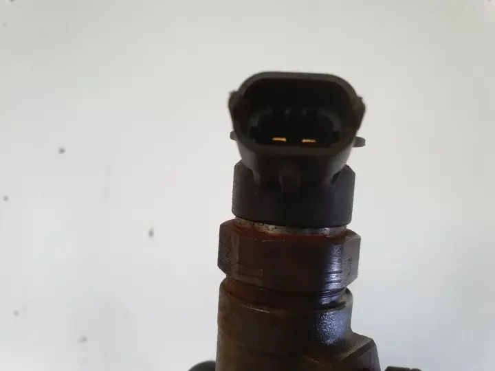 Peugeot Partner II 1.6 HDI WTRYSKIWACZ wtrysk 0445110340