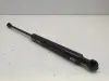 BMW E39 3.0 D SIŁOWNIK teleskop MASKI 8174866