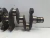 Renault Clio III 1.2 TCE 05-12r WAŁ KORBOWY TF8469