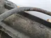 Fiat Ulysse II MAGLOWNICA przekładnia EUROPA
