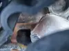 SILNIK KOMPLET AUDI Q7 3.0 V6 TDI 233KM ładnie pali BUG