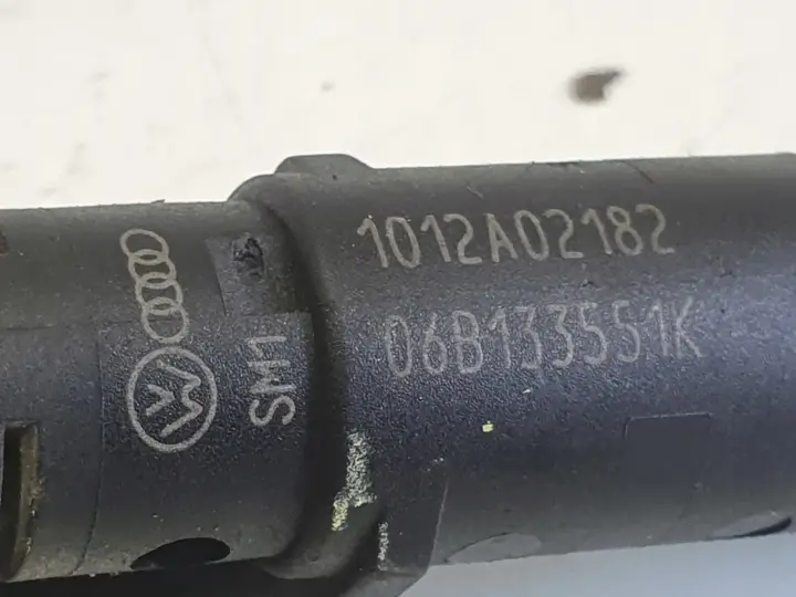 Audi A4 B6 2.0 20V FSI ALT WTRYSKIWACZ PALIWA Wtrysk 06B133551K