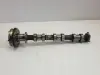 Ford F150 2.7 V6 Ecoboost WAŁEK ROZRZĄDU Koło