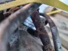 SILNIK KOMPLET Mercedes W169 A200 2.0 T TURBO 193KM 171tyś 266980 266.980