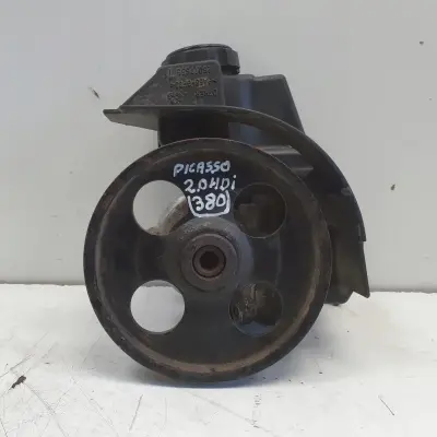 Peugeot 206 2.0 HDI POMPA WSPOMAGANIA 9631914280
