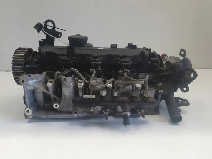 Renault Kangoo II 1.5 DCI GŁOWICA CYLINDRÓW 110421615R