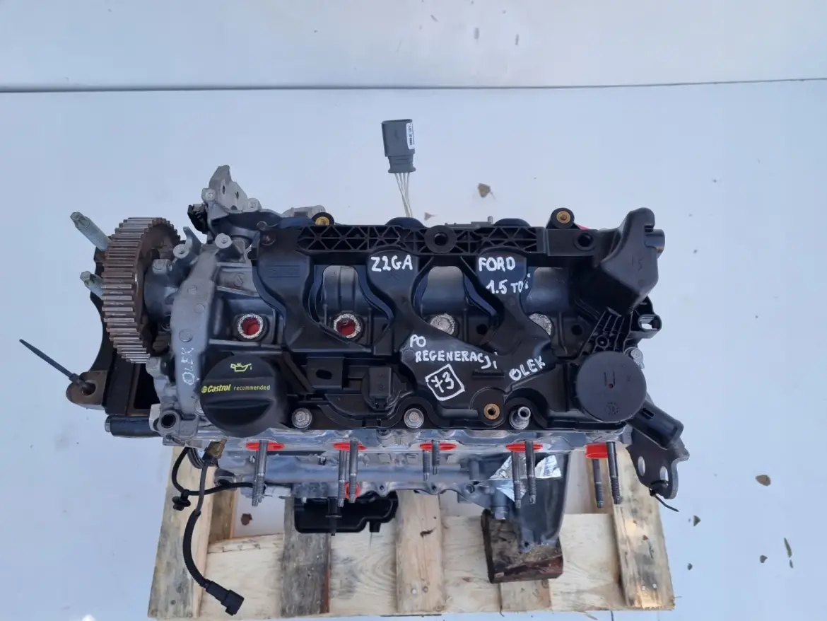 SILNIK PO REGENERACJI Ford Transit Connect II 1.5 TDCI 101KM ECOBLUE Z2GA