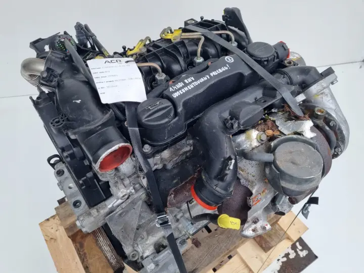 SILNIK KOMPLET Citroen C3 1.4 HDI 90KM 02-09r DELPHI serwisowany 138tyś 8HY