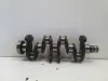 Renault Clio III 1.2 TCE 05-12r WAŁ KORBOWY TF8469