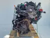 SILNIK KOMPLET Seat Leon II 1.6 TDI 105KM 145tyś pali CAY CAYC