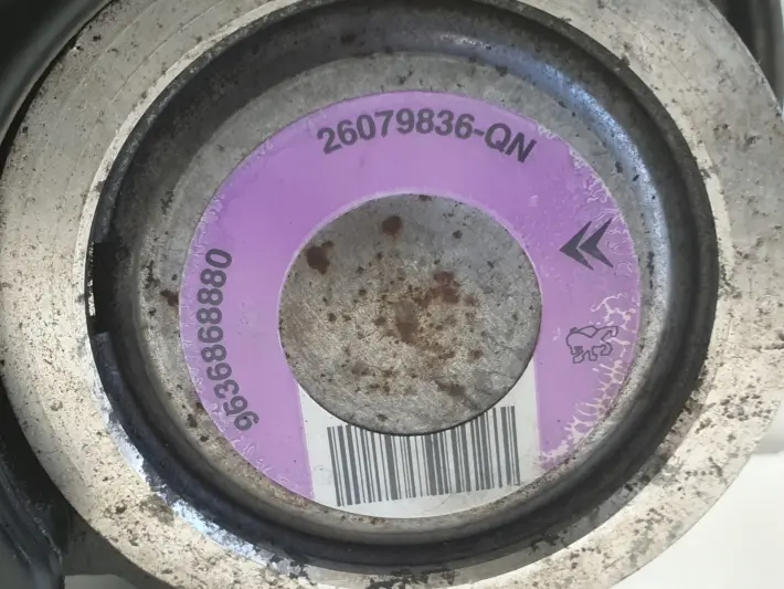 Peugeot 206 1.4 8V POMPA WSPOMAGANIA 9636868880 26079836-QN