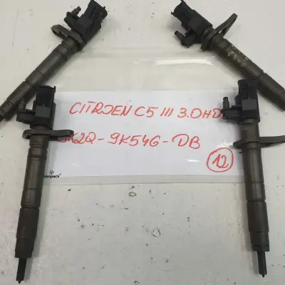 Citroen C5 III 3.0 HDI WTRYSKIWACZ WTRYSK